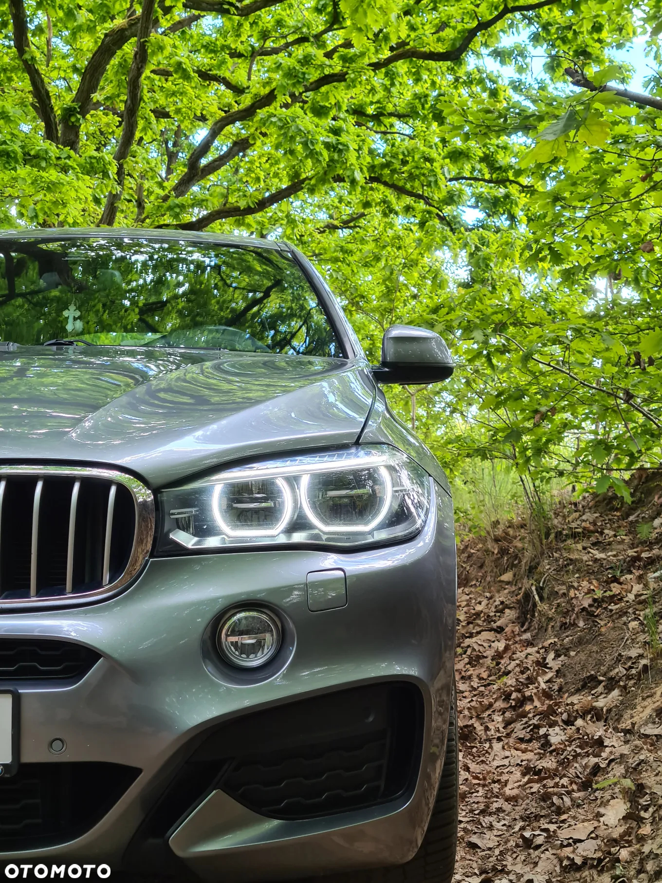 BMW X6 xDrive30d