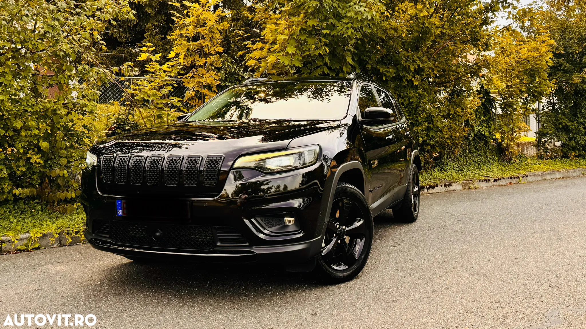 Jeep Cherokee 2.2 MJet AWD Limited - 7