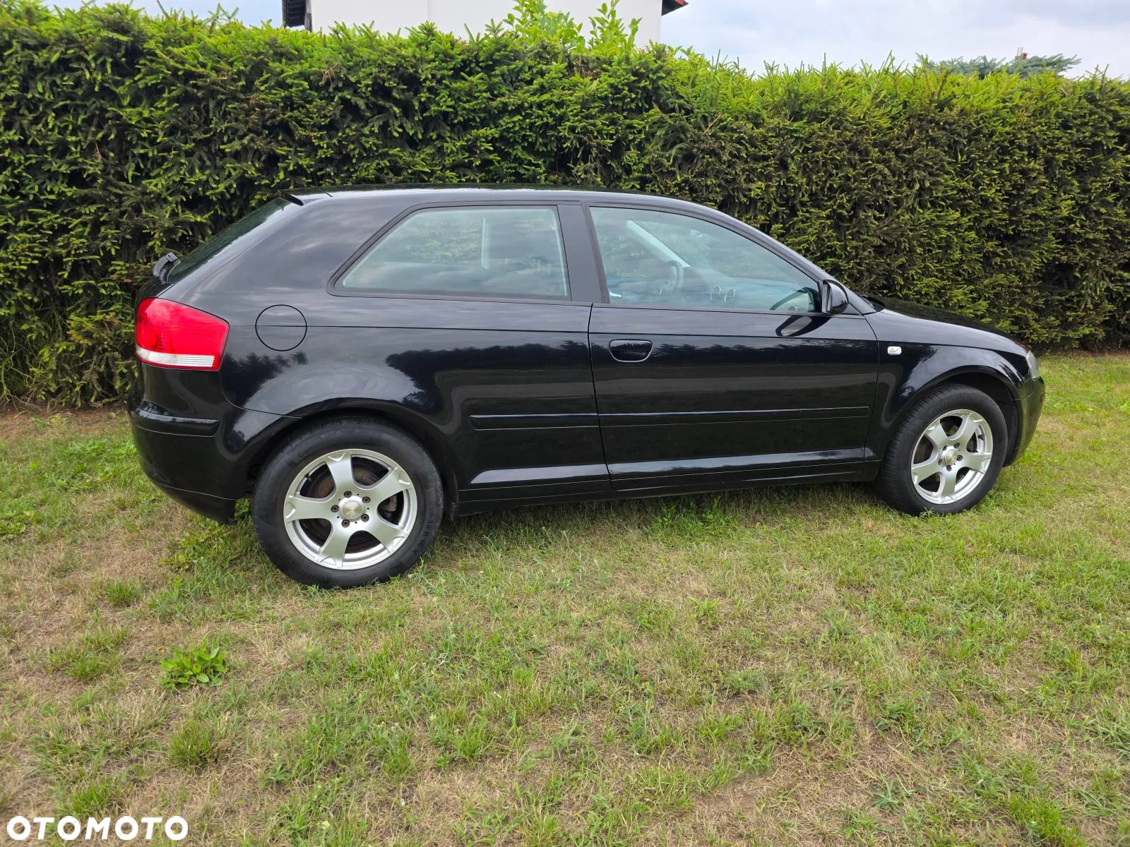 Audi A3 1.6 Limited Edition - 6