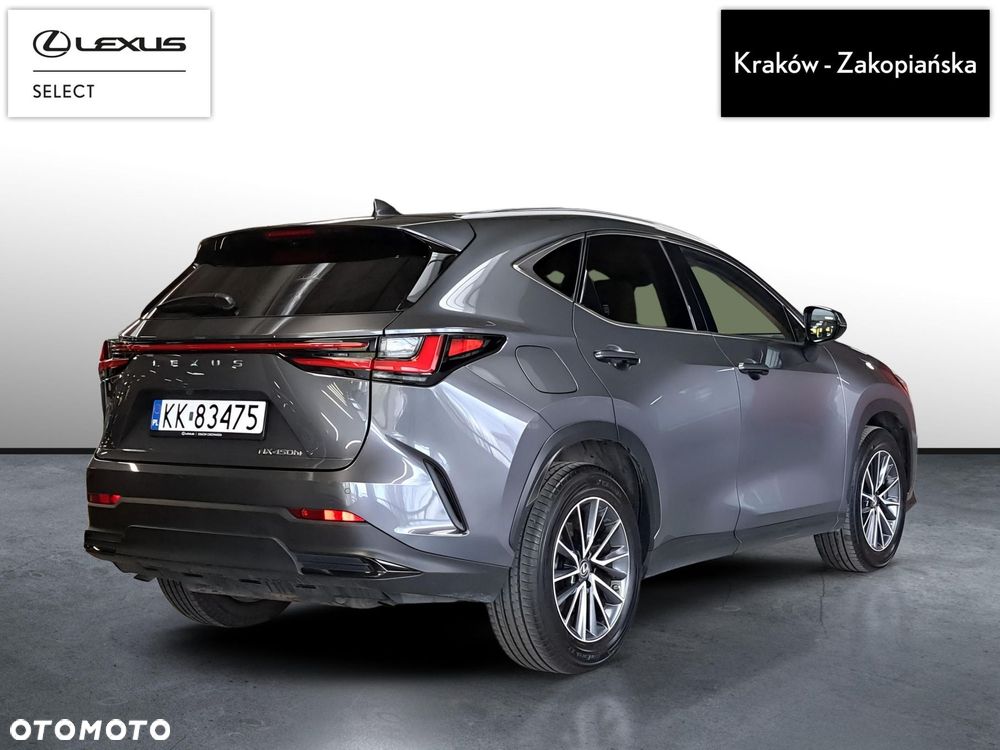 Lexus NX - 6