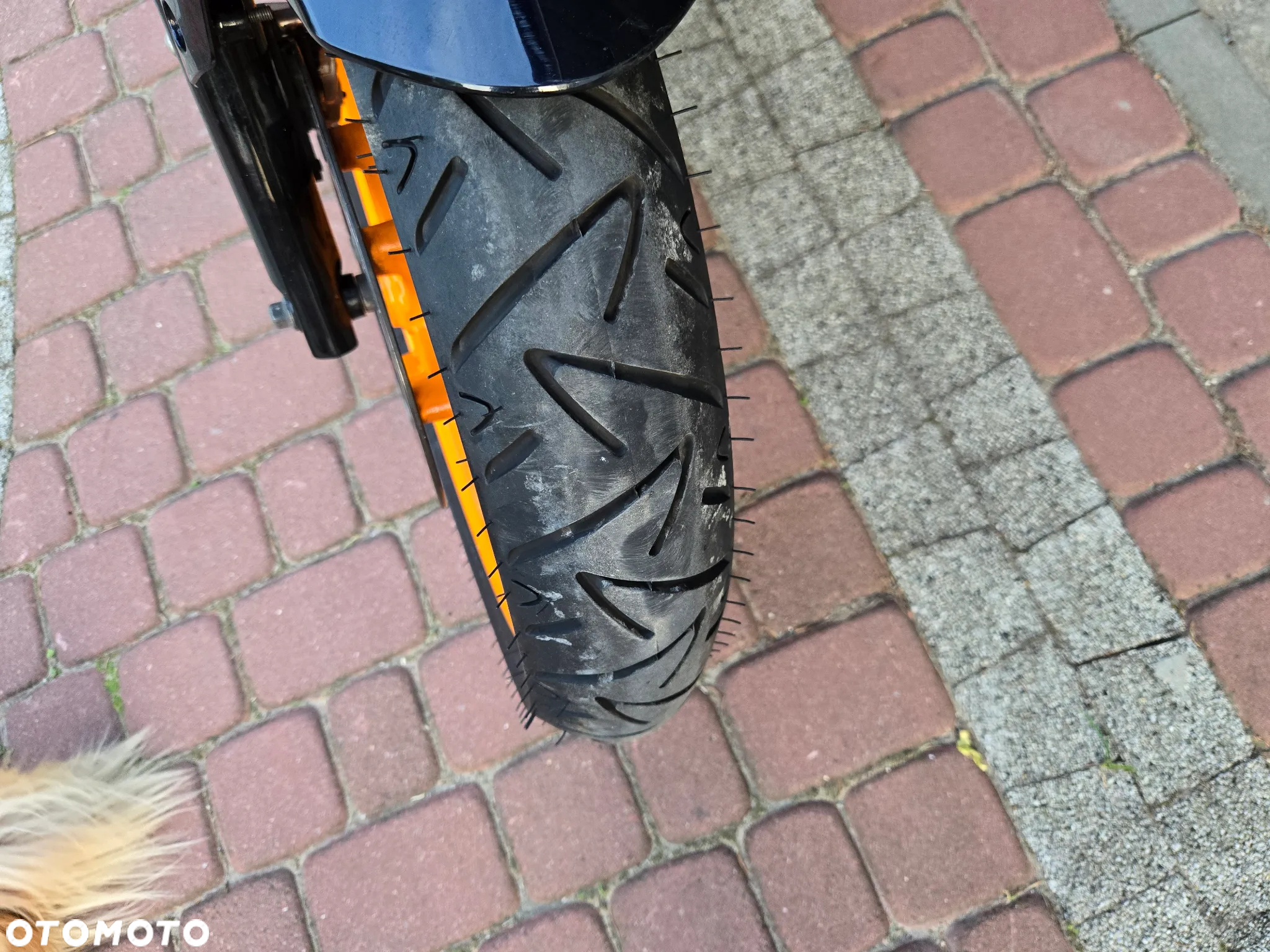 Honda CBR - 20