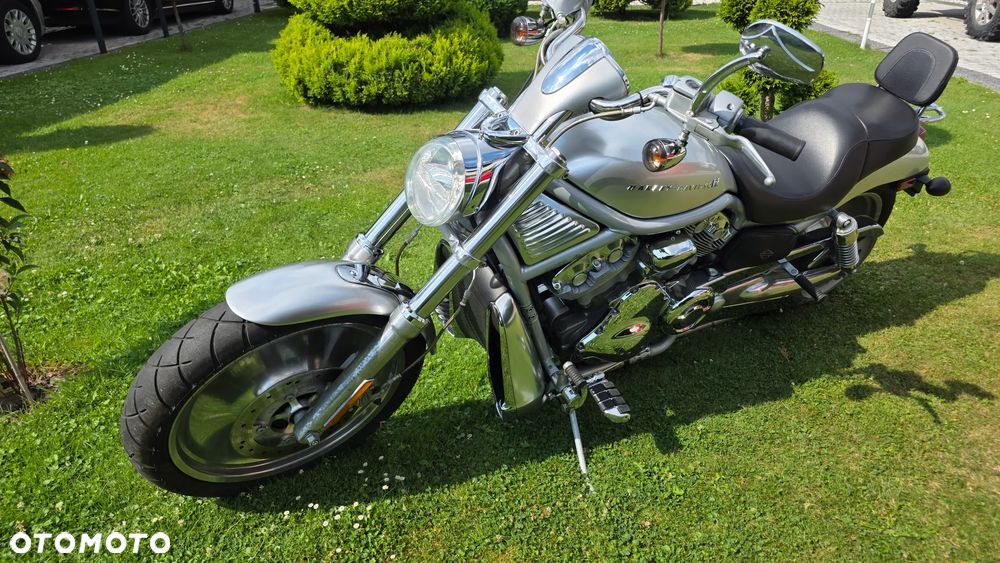 Harley-Davidson Softail V-Rod - 3
