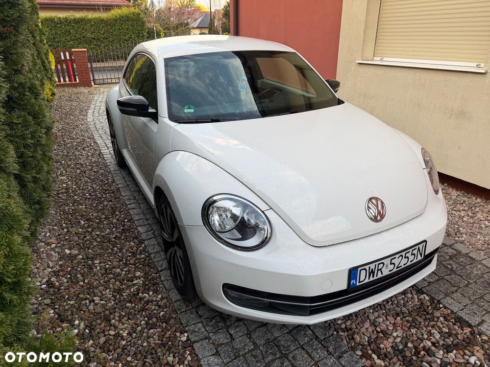 Volkswagen Beetle - 3