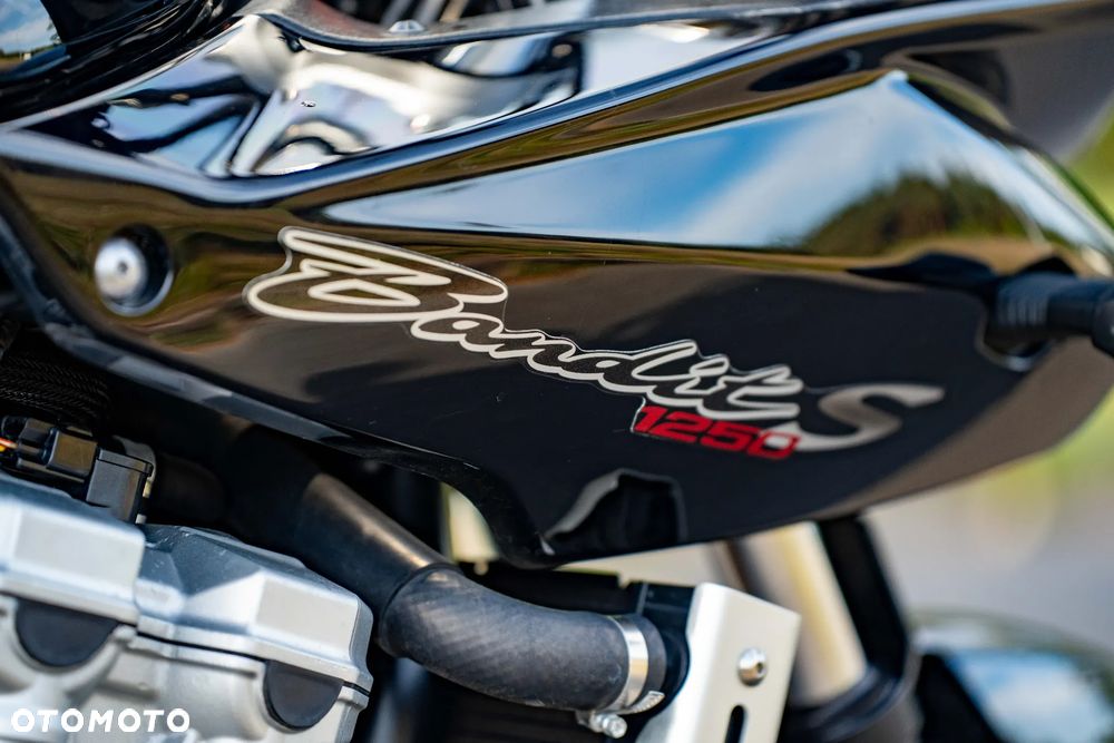 Suzuki Bandit - 19