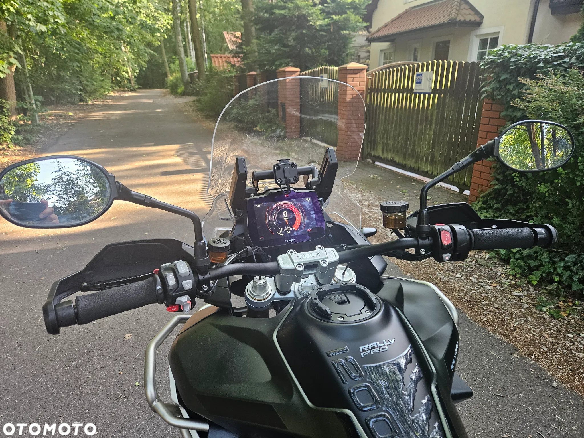 Triumph Tiger - 5