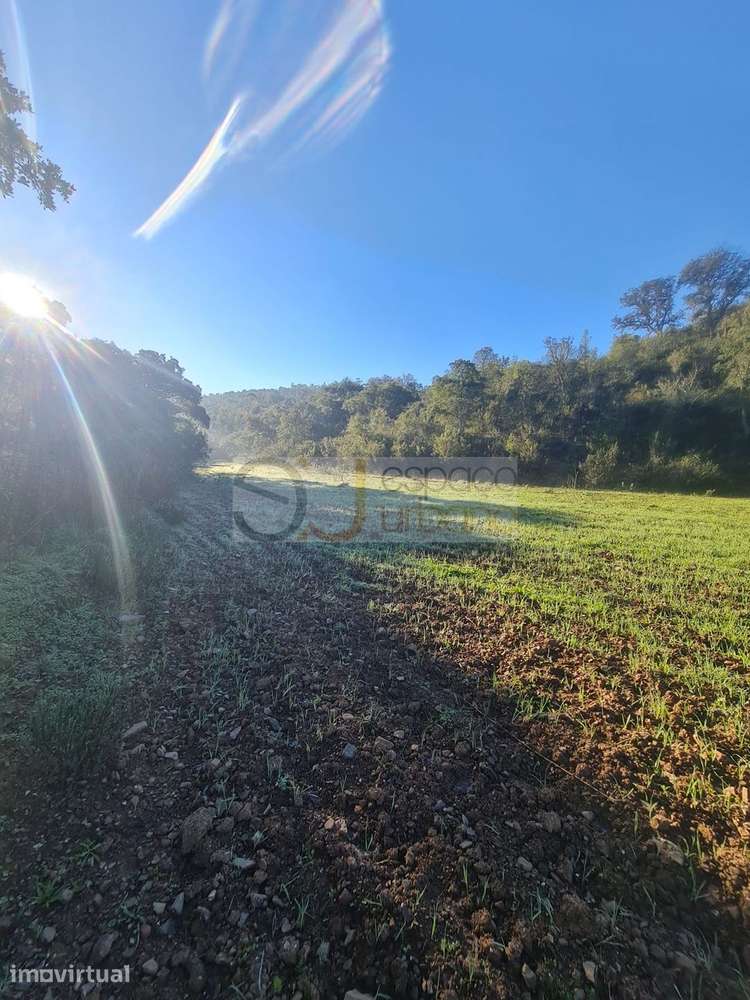 MARAVILHOSO TERRENO RÚSTICO PARA VENDA COM 41.600 M2 !! - Grande imagem: 3/26