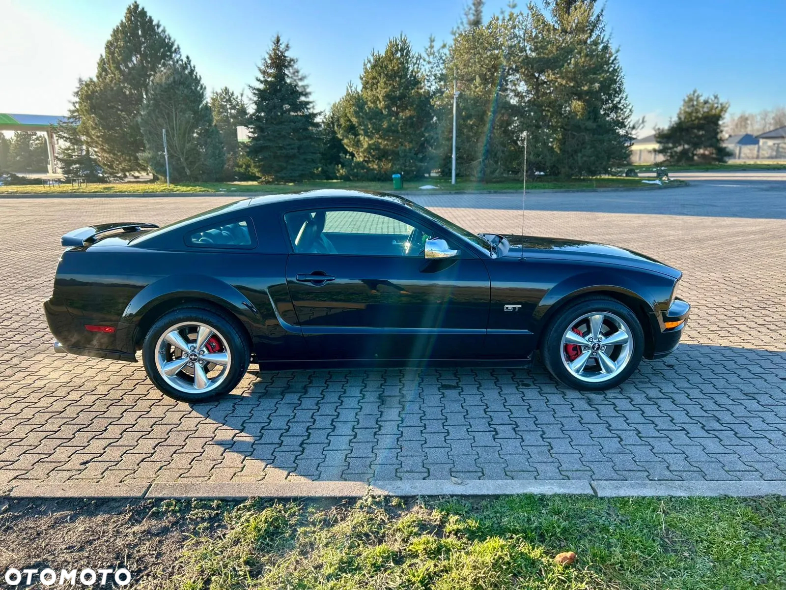 Ford Mustang - 6