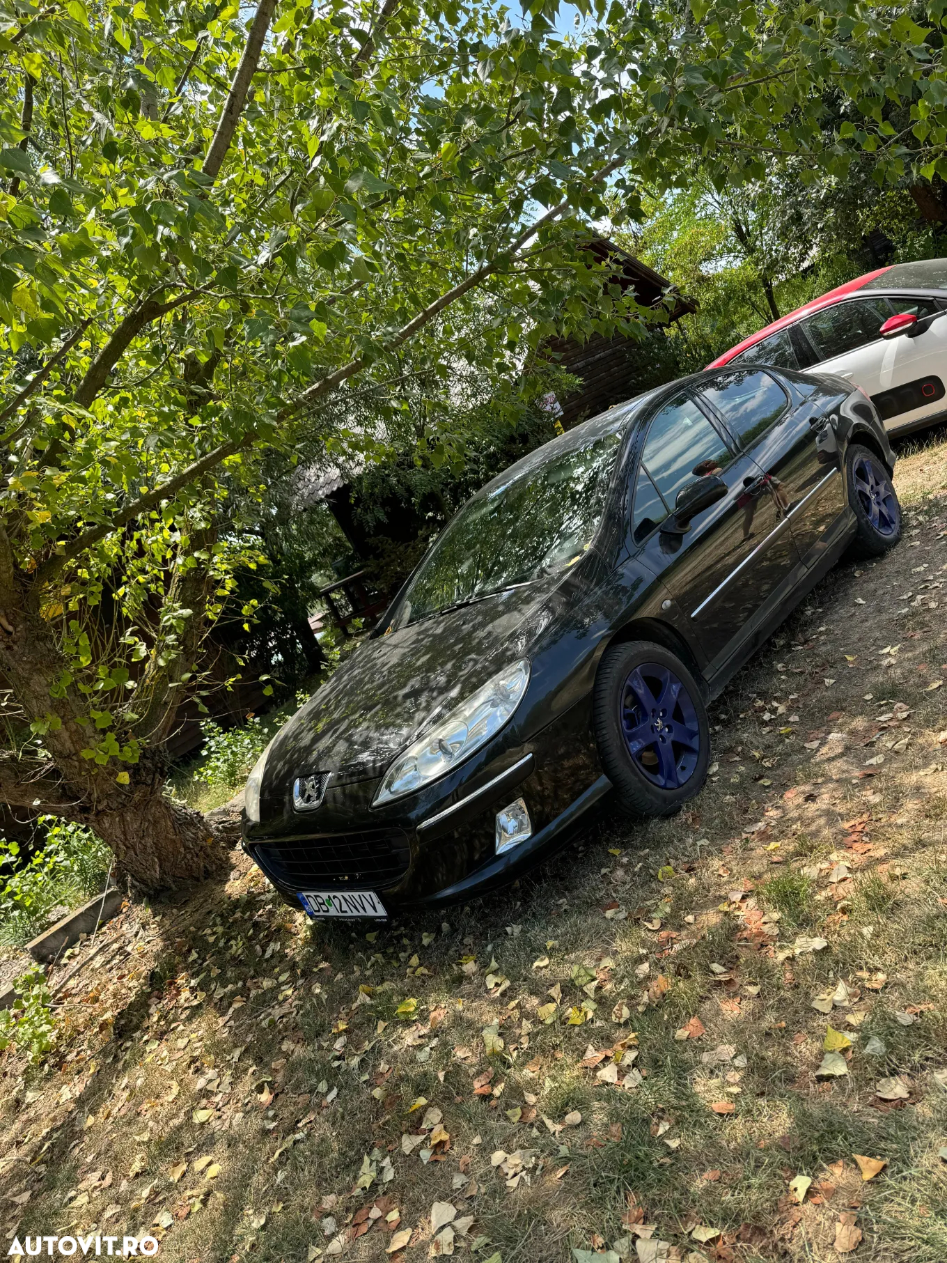 Peugeot 407 - 9