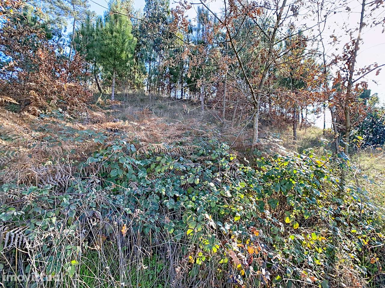Terreno em Regadas - Grande imagem: 5/8