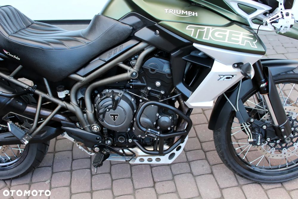 Triumph Tiger - 15