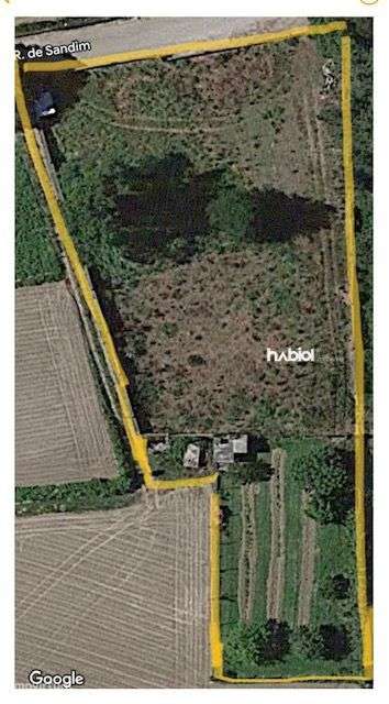 Lote para Construção de Moradia Térrea em Chorente Barcelos - Grande imagem: 2/9