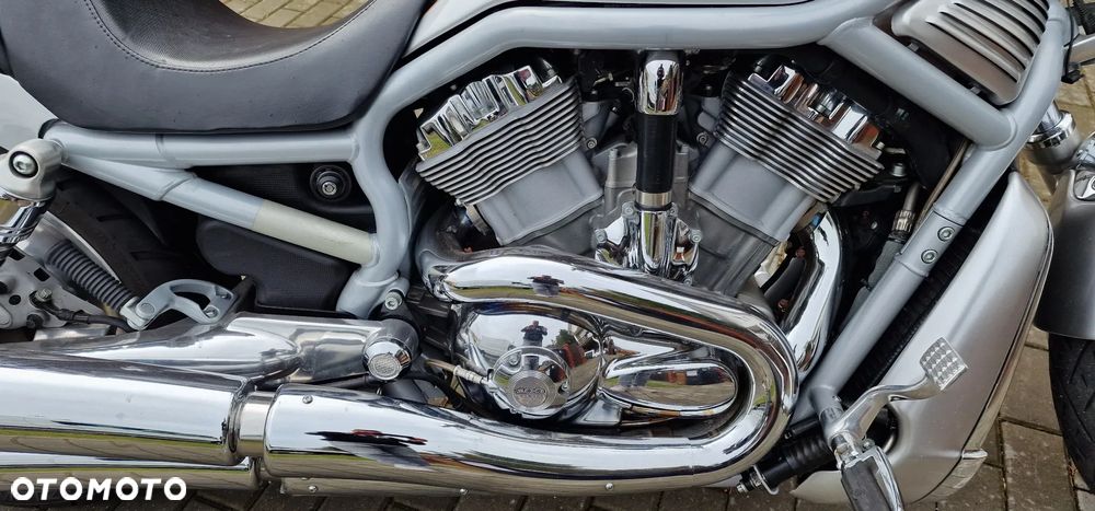 Harley-Davidson V-Rod Street Rod - 14