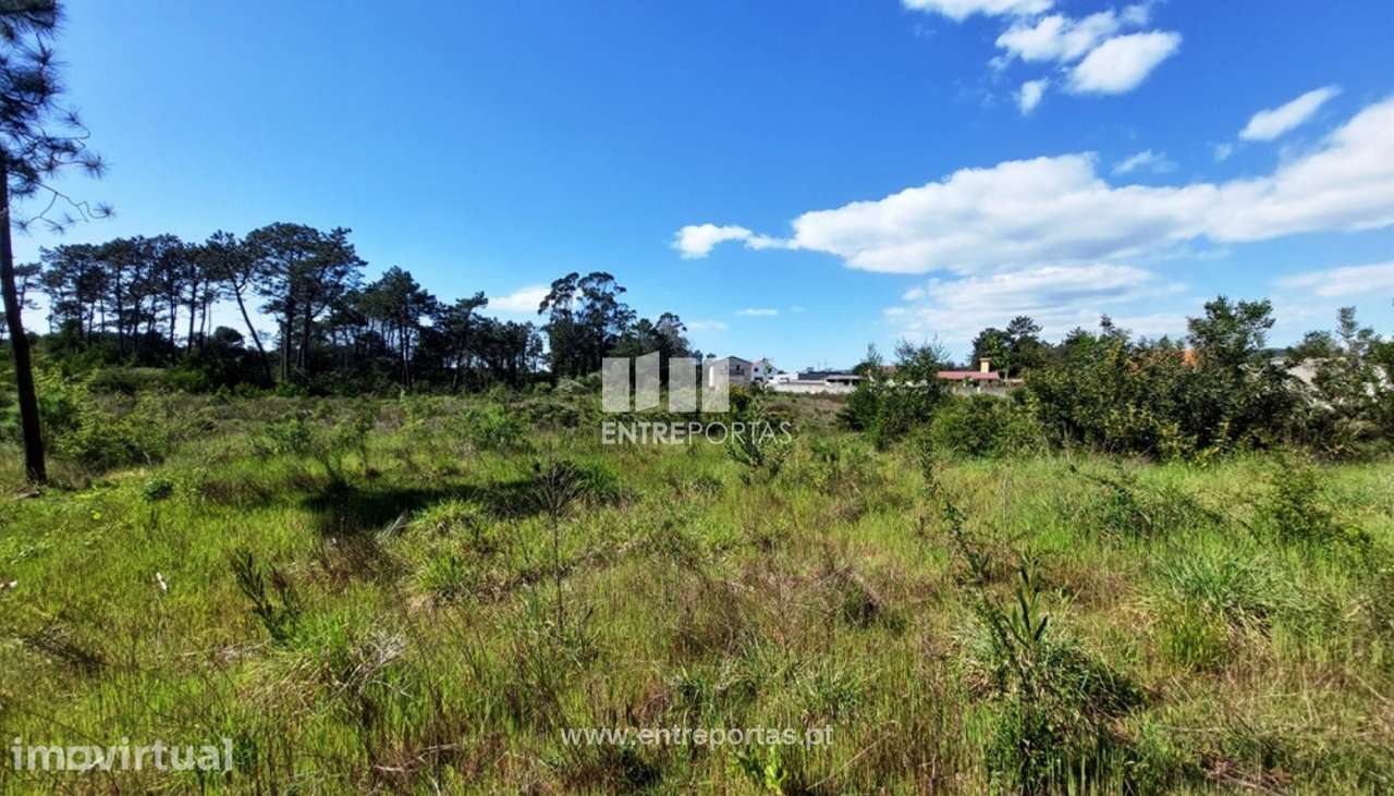 Venda de fabuloso terreno para construção, Chafé, Viana do Castelo - Grande imagem: 3/30