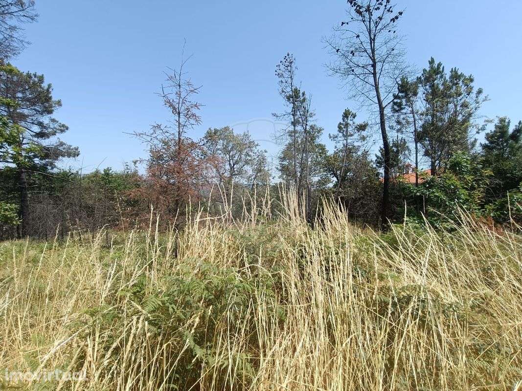 Terreno  para venda - Grande imagem: 3/12