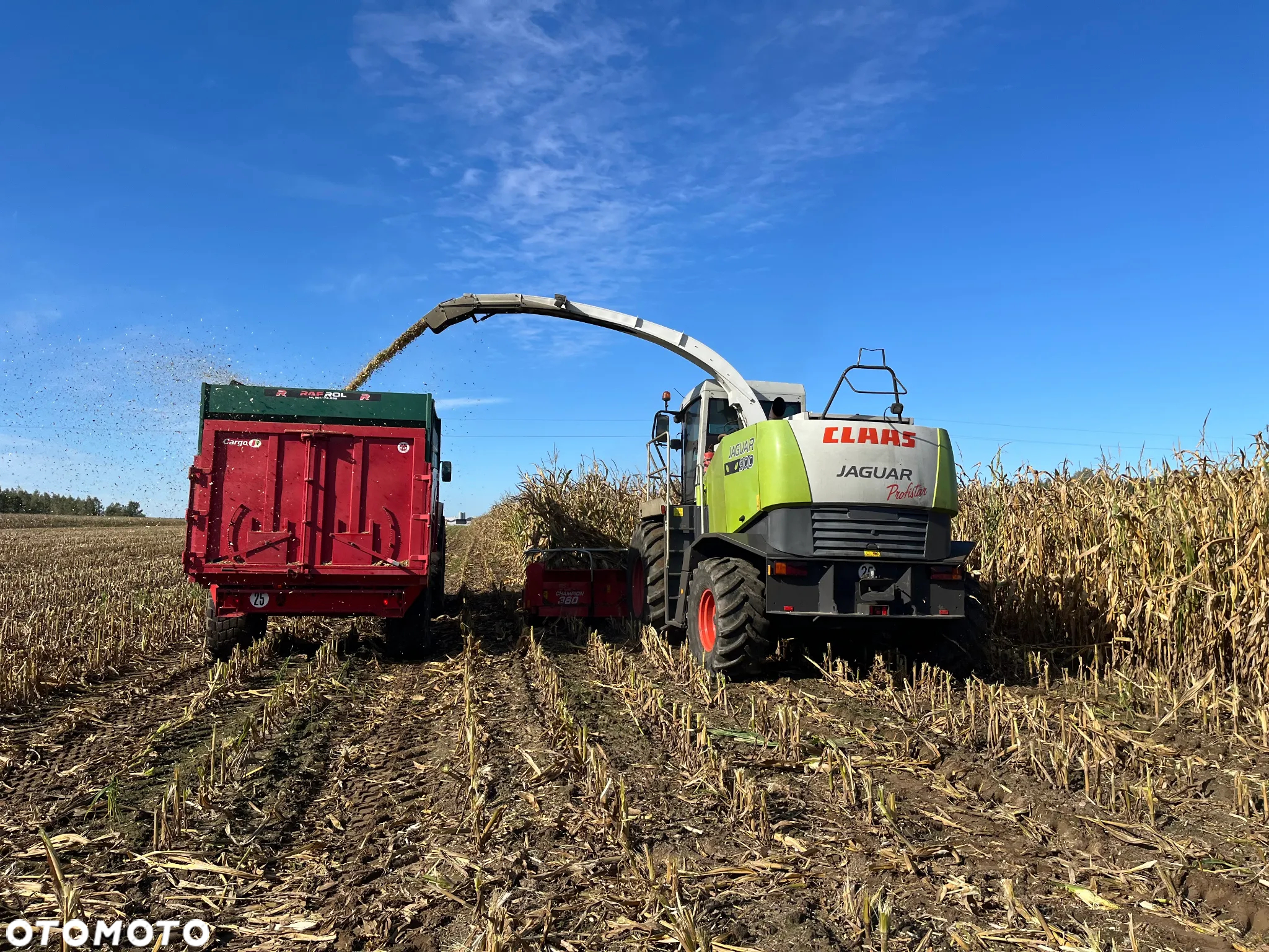 Claas Jaguar 900 ProfiStar - 7