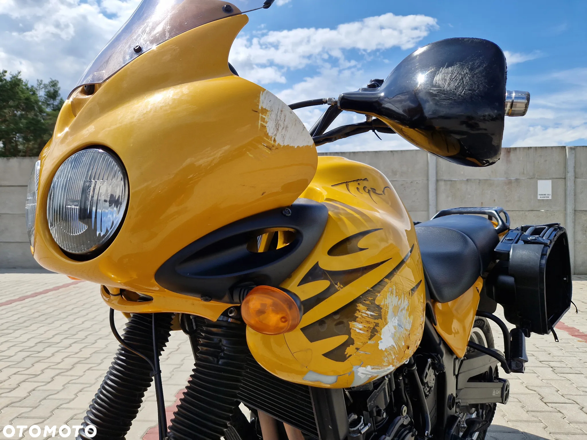 Triumph Tiger - 18