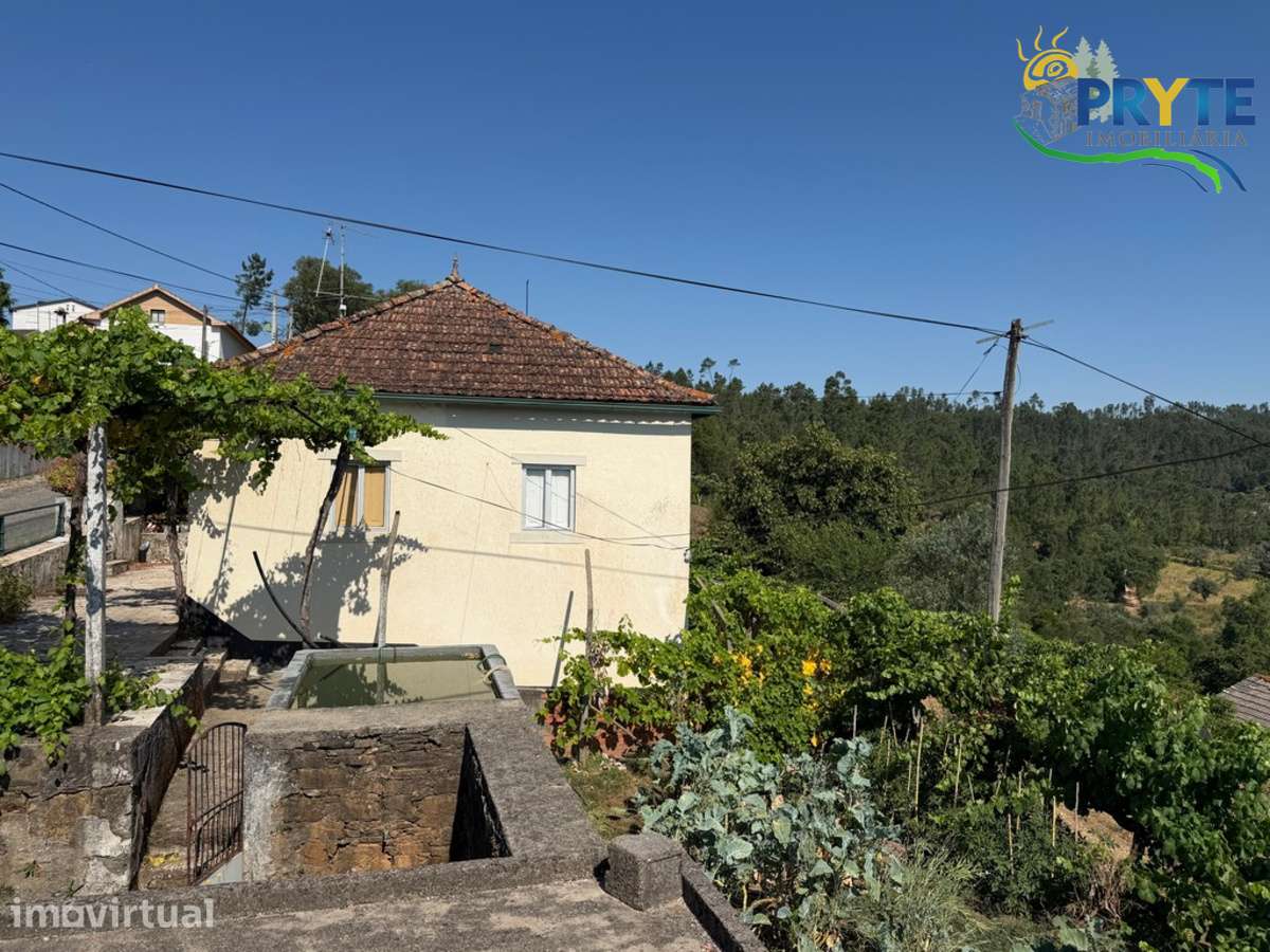 Quintinha a 3 quilómetros da Vila da Sertã - Grande imagem: 3/60