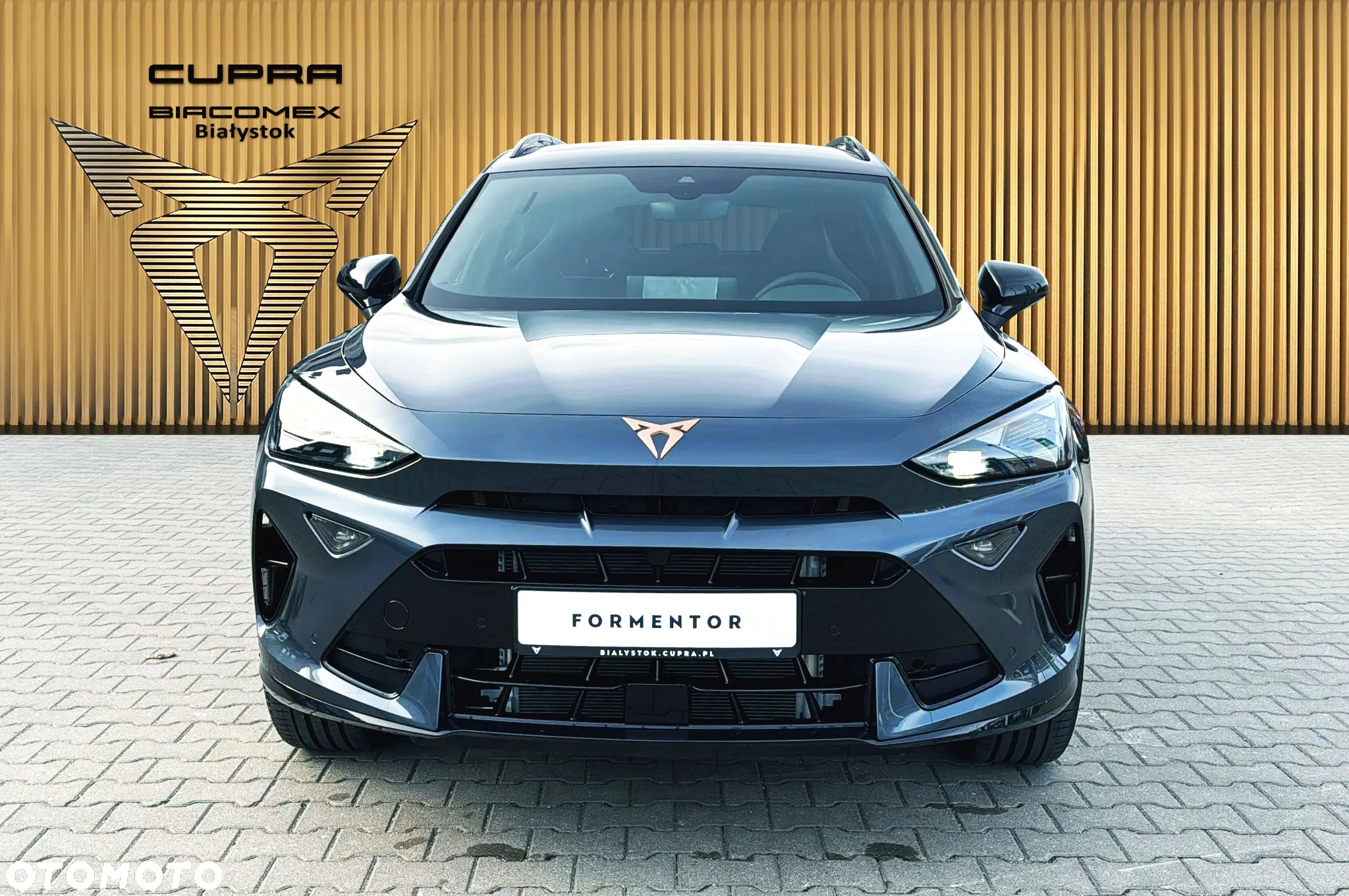 Cupra Formentor 2.0 TDI DSG - 9