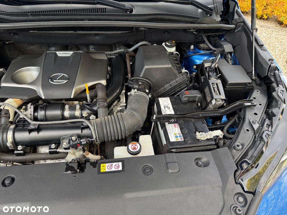 Lexus NX 300 F Impression AWD - 14