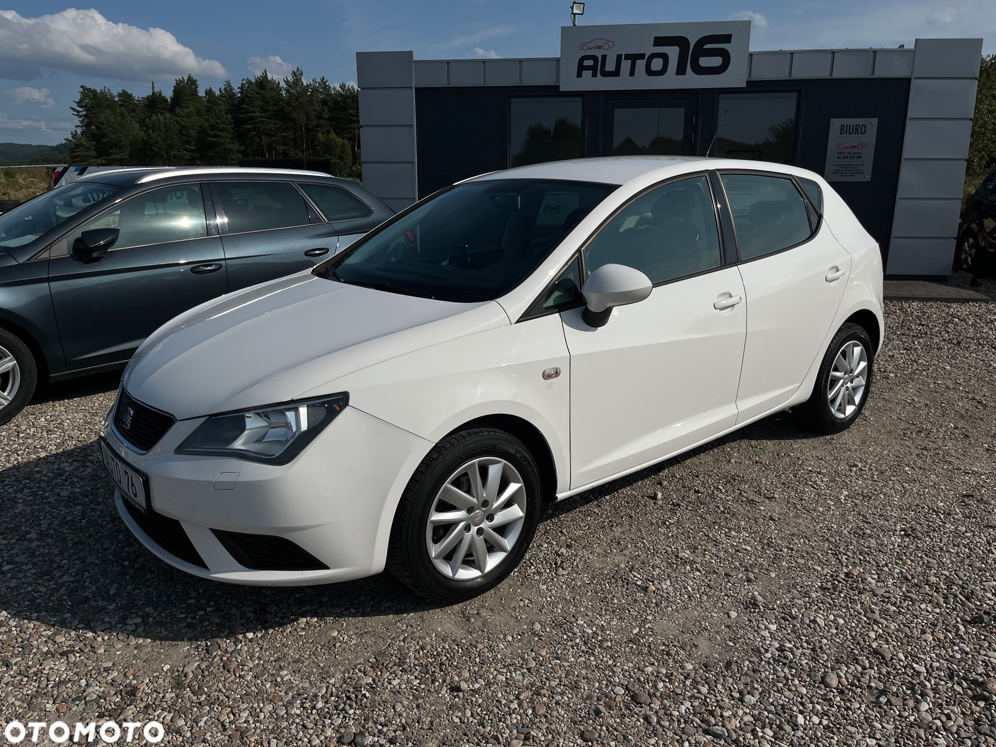 Seat Ibiza 1.2 12V Passion - 2