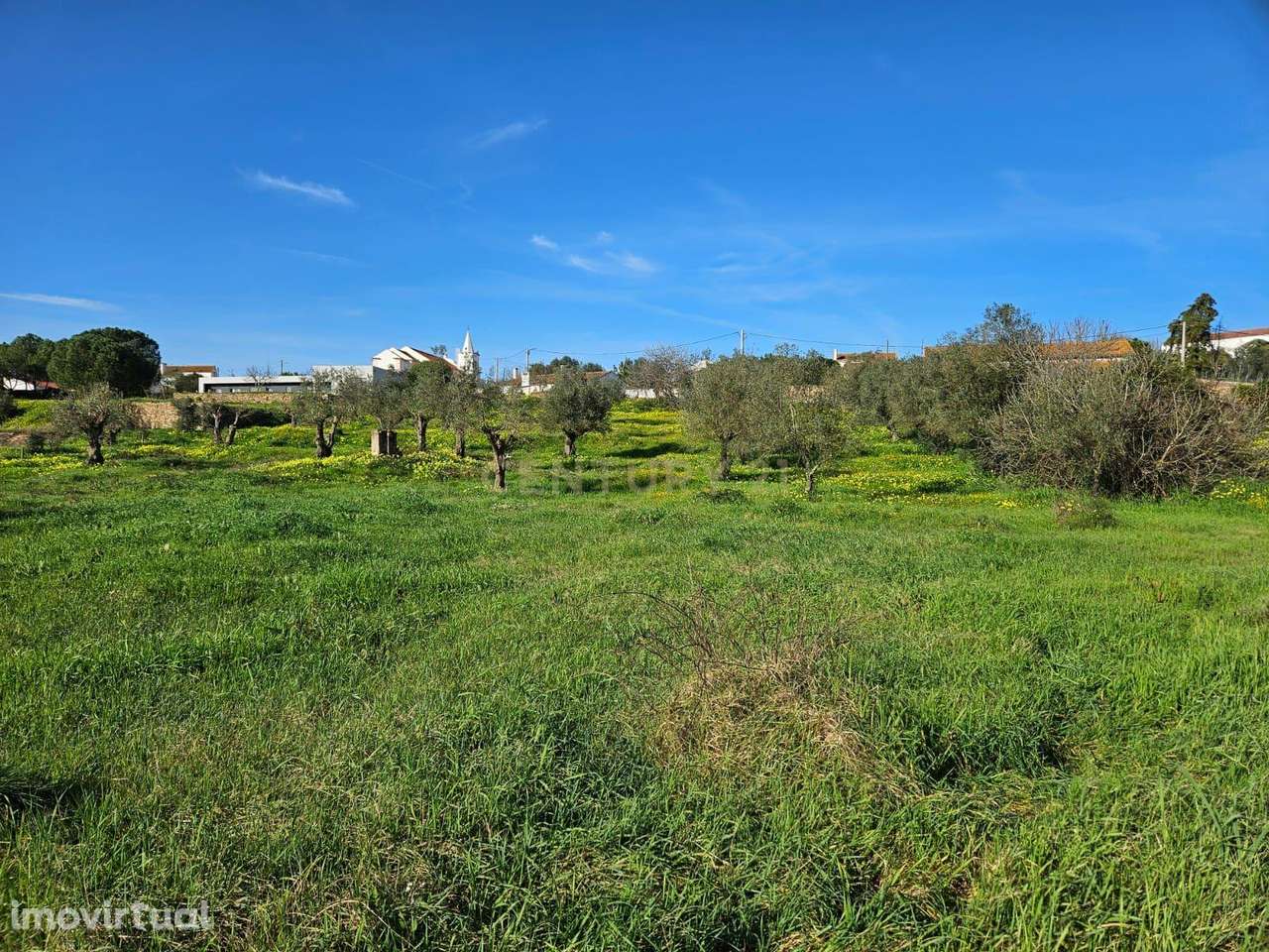 Terreno Rústico à Venda em Montalvo - Oportunidade Única - Grande imagem: 5/6
