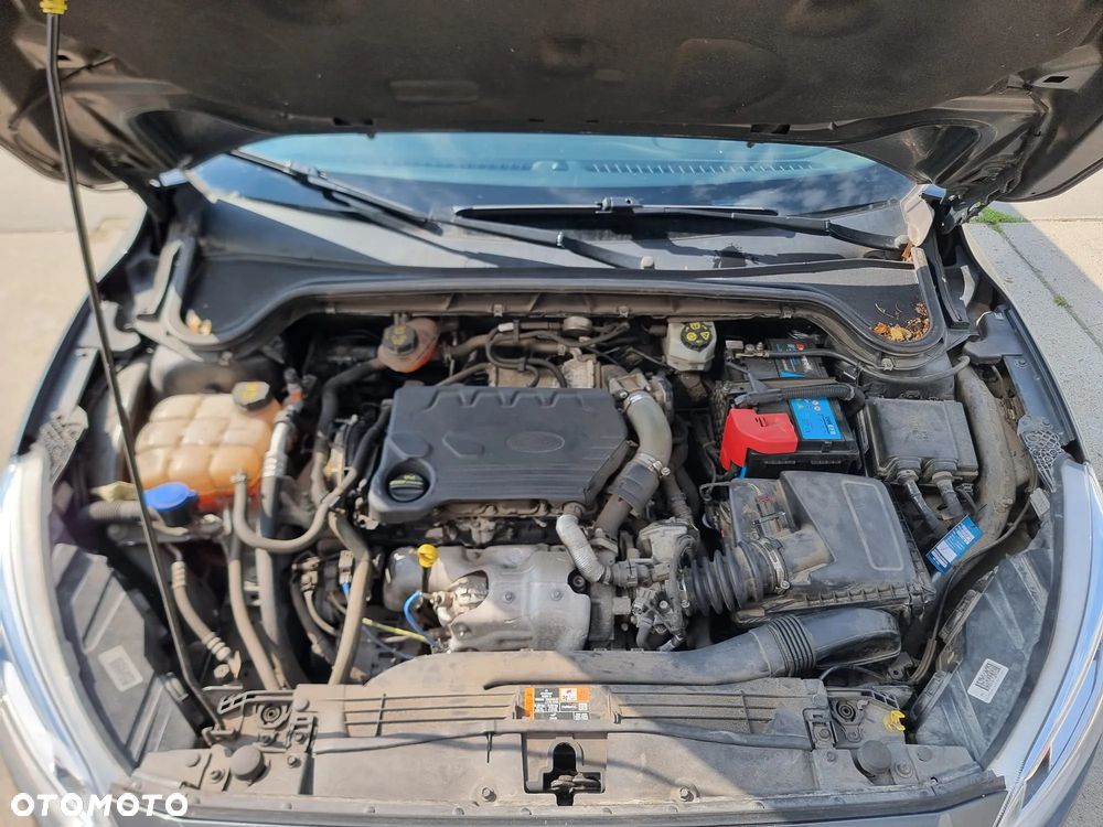 Ford Focus 1.5 EcoBlue Titanium - 25