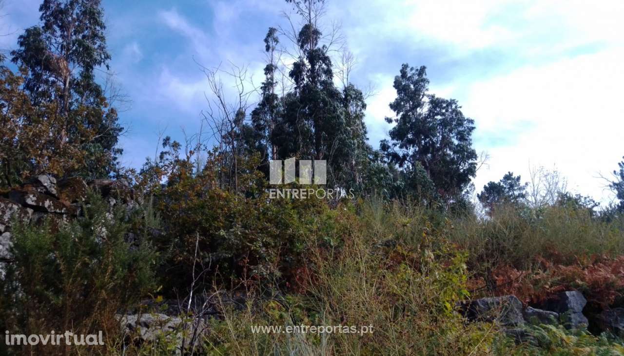 Venda Terreno com viabilidade de construção, Cinfães - Grande imagem: 2/26