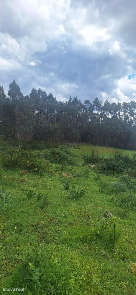 Terreno urbanizável para construção para venda em Ponte Rol - Grande imagem: 4/21