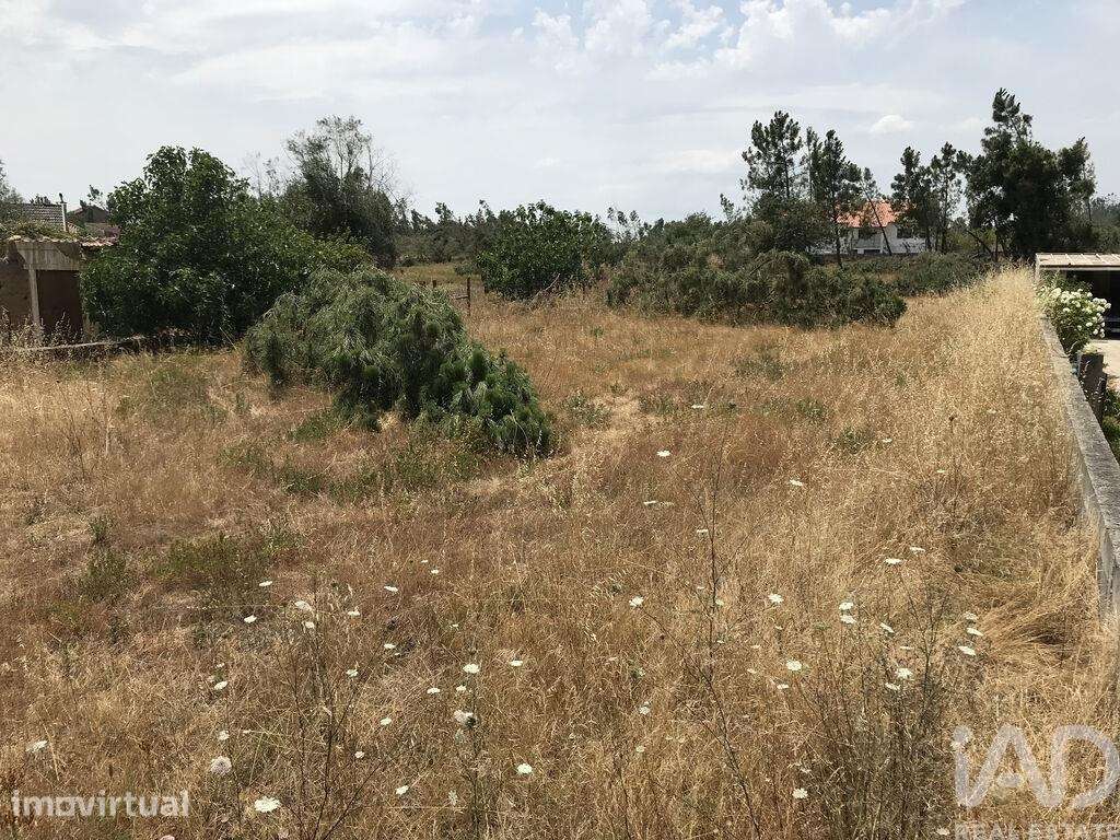 Terreno para construção em Freixianda, Ribeira do Fárrio e Formigais - Grande imagem: 3/30