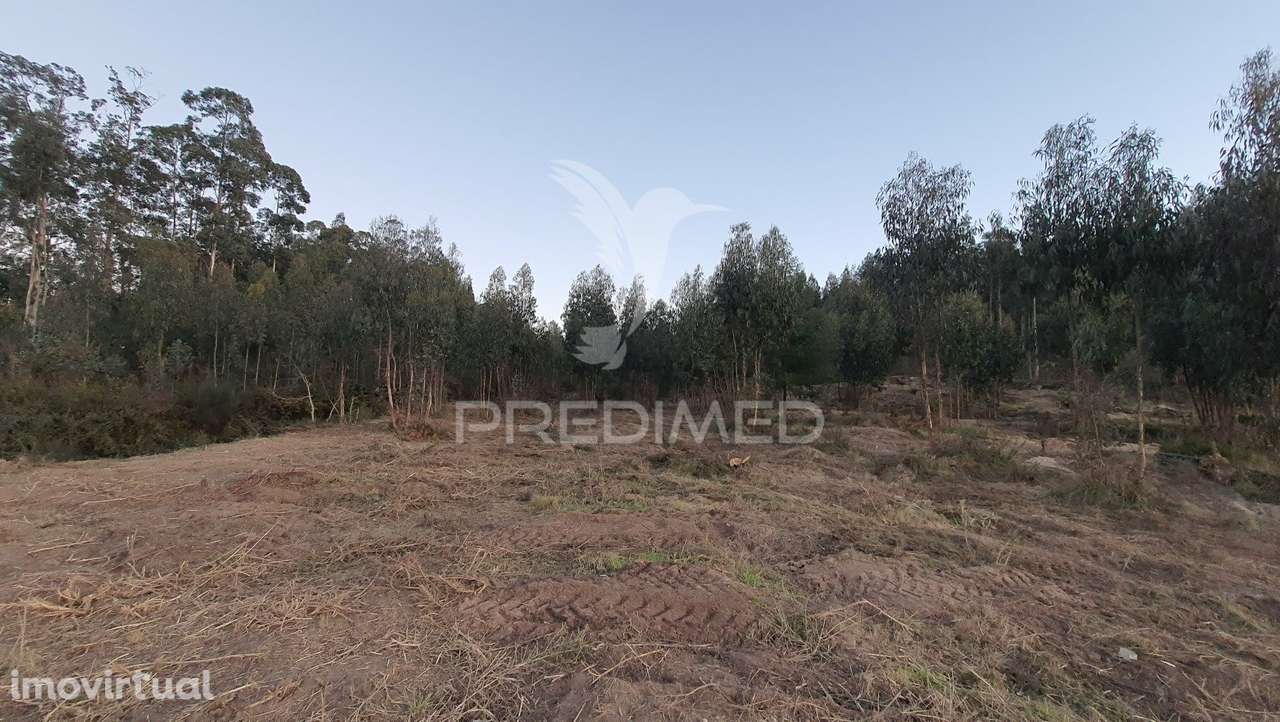 Terreno - Grande imagem: 4/5