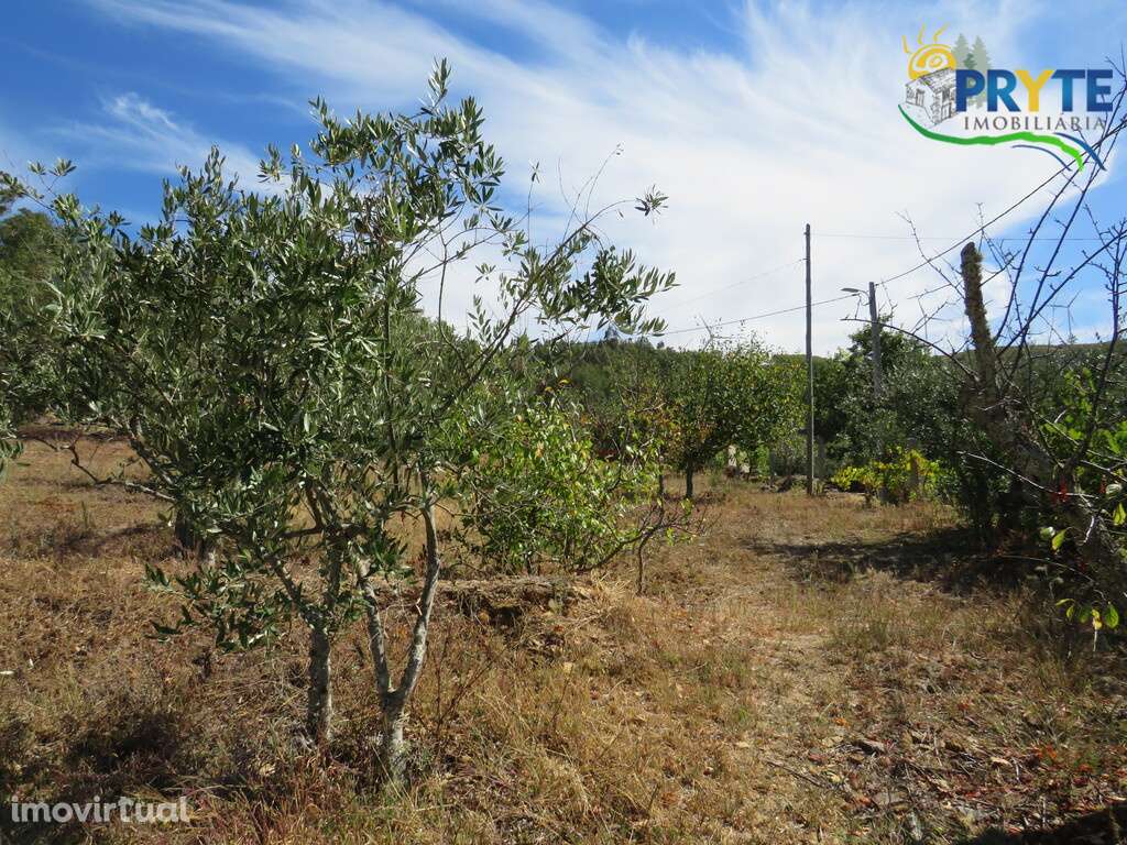 Terreno para construção situado em Álvaro - Grande imagem: 2/15