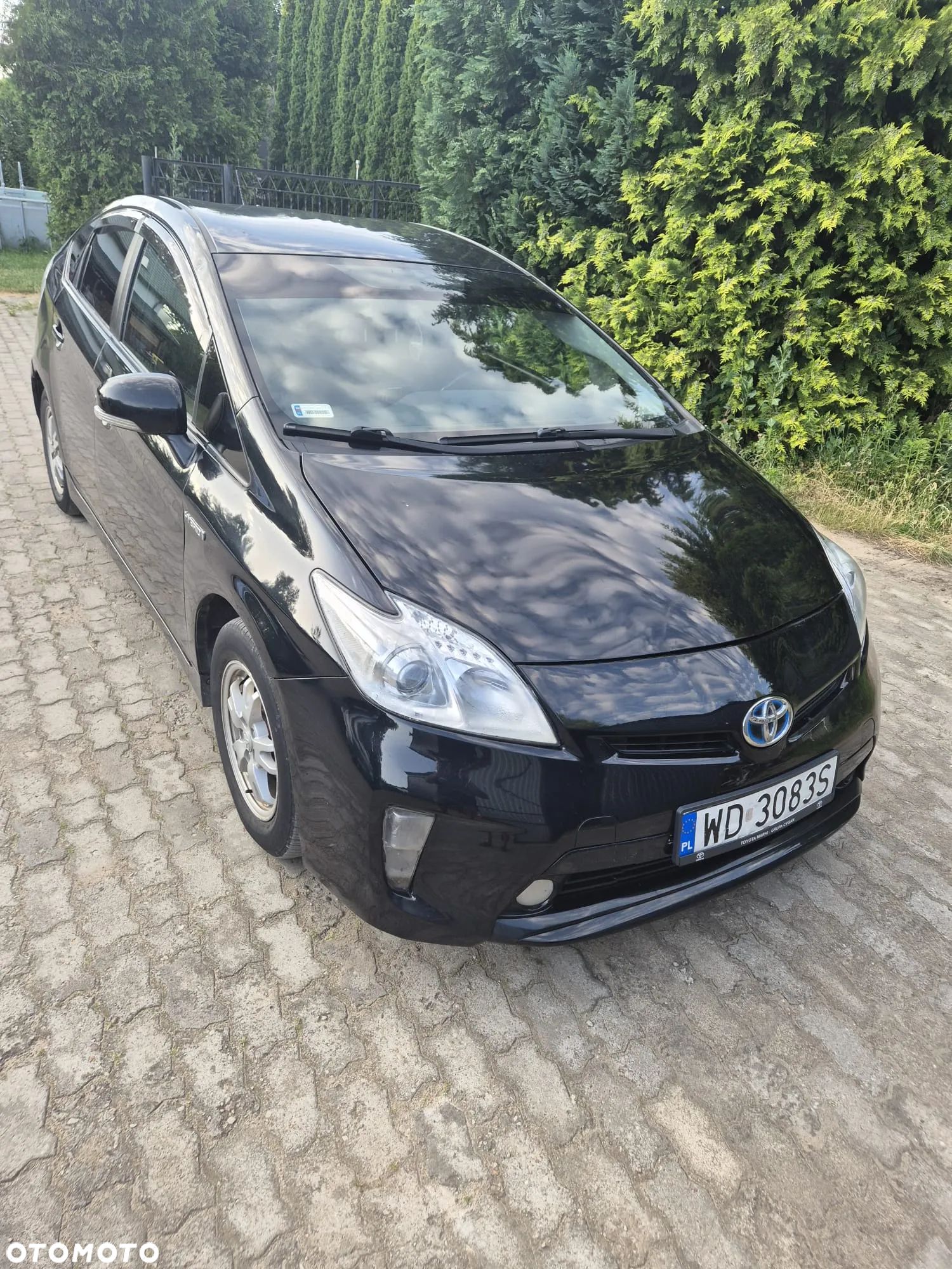 Toyota Prius (Hybrid) - 1