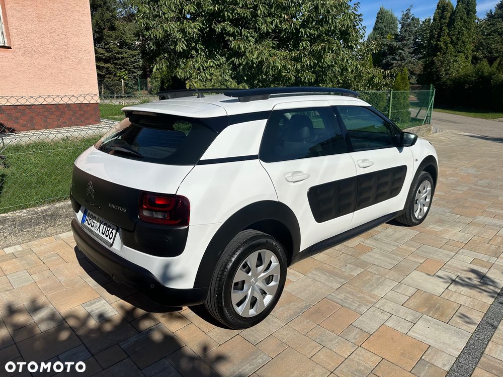 Citroën C4 Cactus PureTech 82 Shine Edition - 18