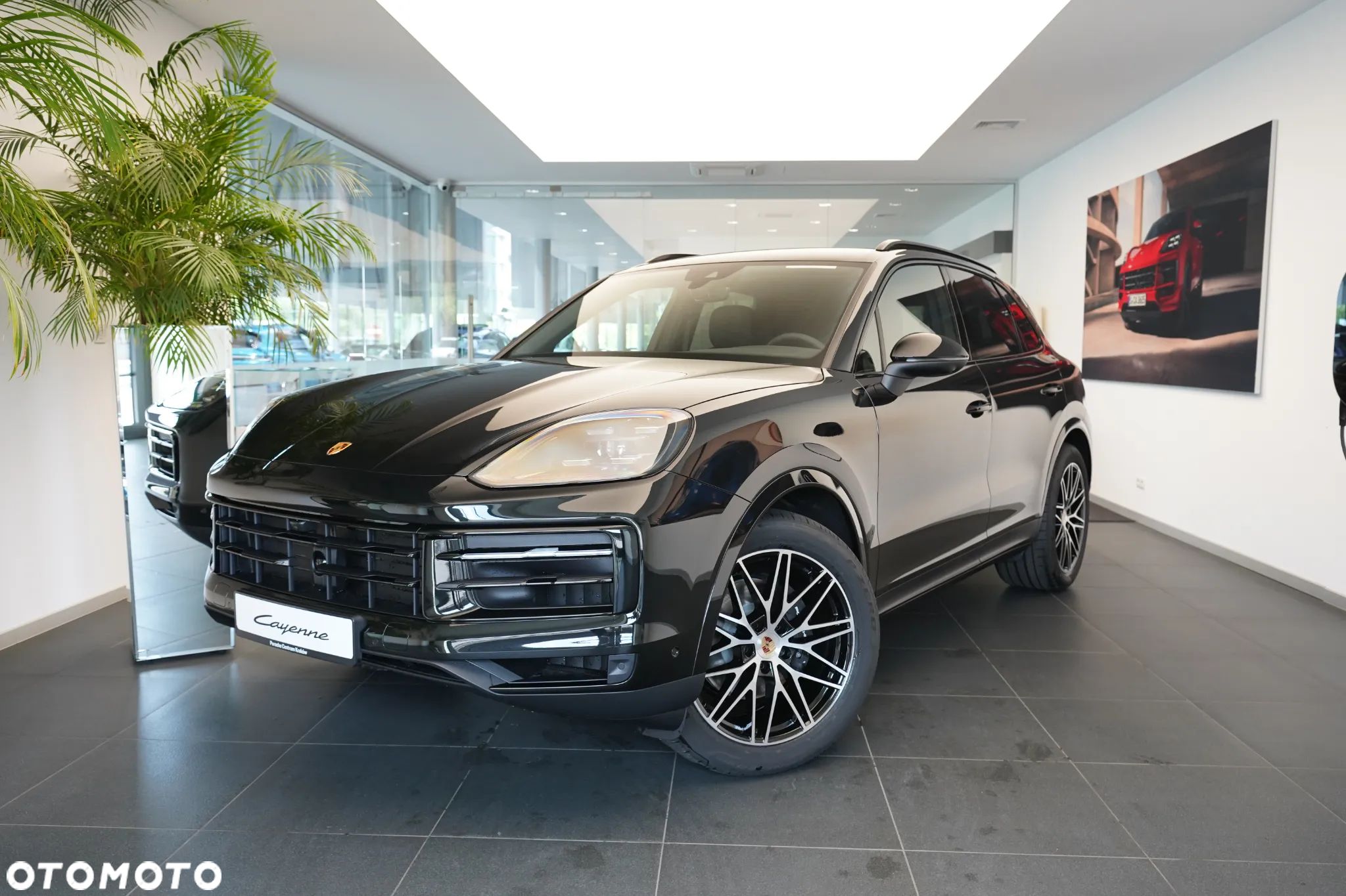 Porsche Cayenne Standard - 1