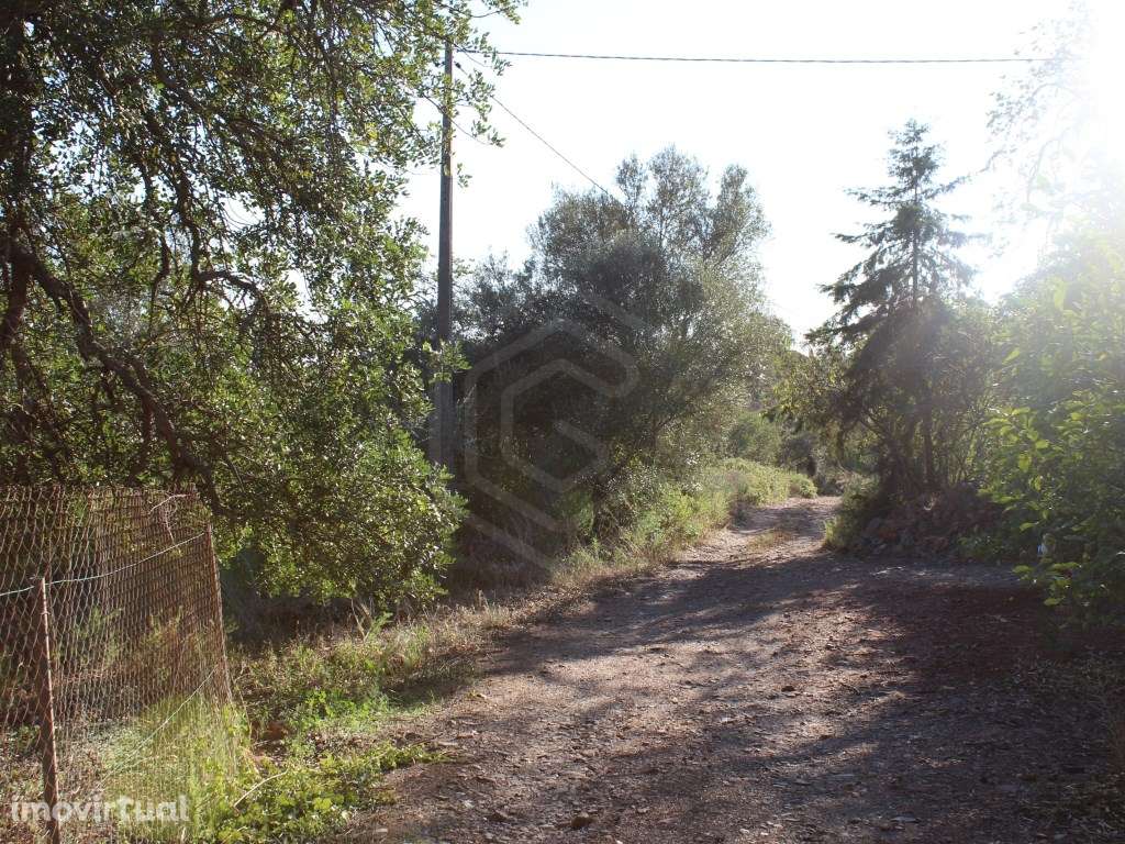 Terreno com ruína no Barrocal Algarvio, São Bartolomeu de Messines - Grande imagem: 2/18