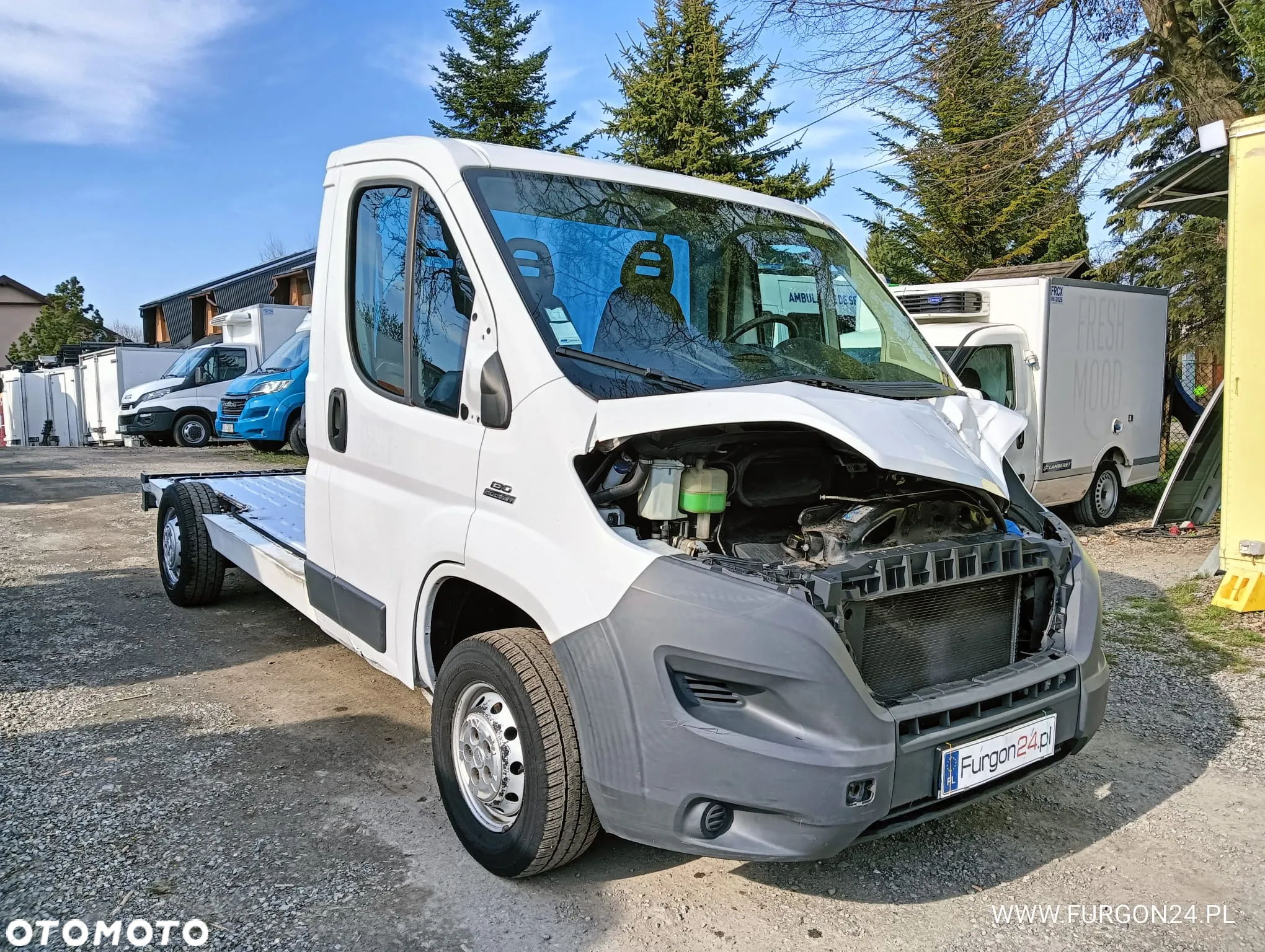 Fiat DUCATO PLATFORMA DO ZABUDOWY NR 844 - 4