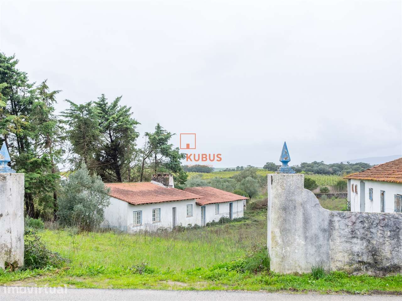 Armazém - Lamarosa - Grande imagem: 2/19