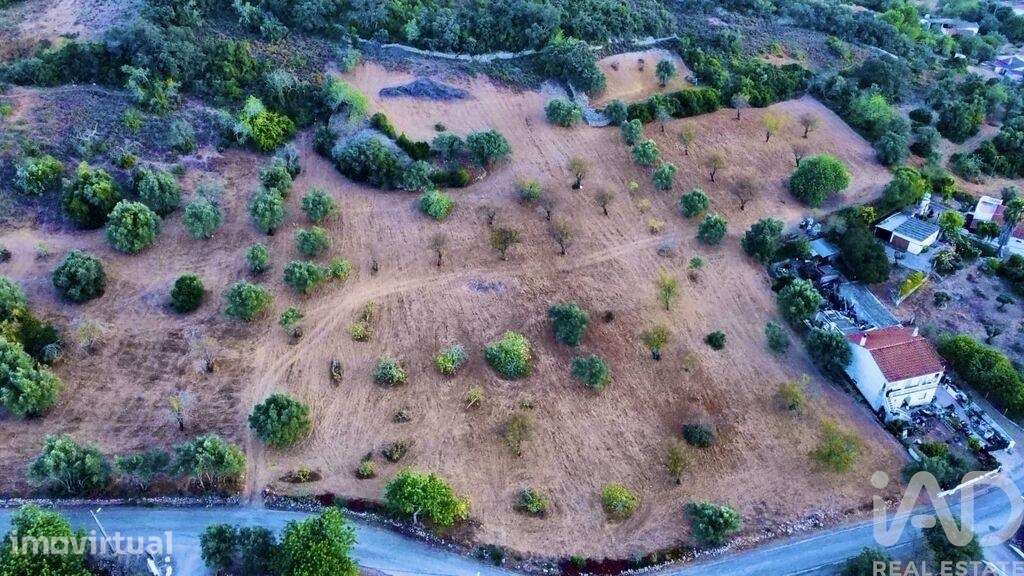 Terreno Agrícola em Santa Bárbara de Nexe de 14400,00 m2 - Grande imagem: 3/10