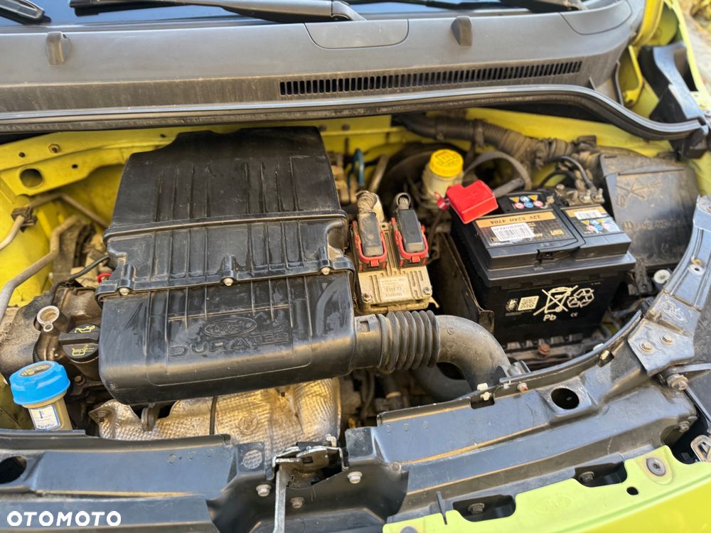 Ford KA - 10