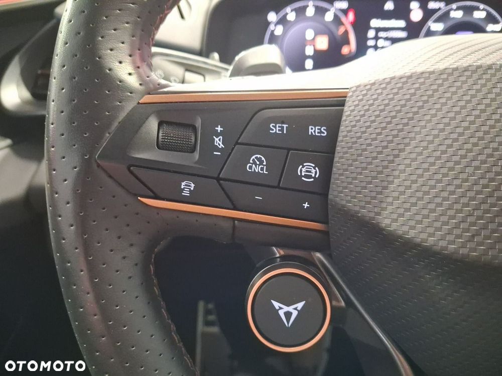 Cupra Terramar - 21