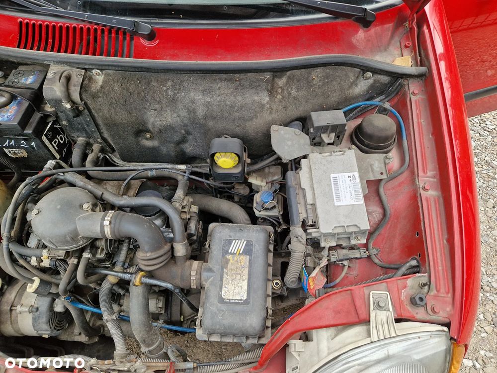 Fiat Seicento Fun / Olimpia - 23