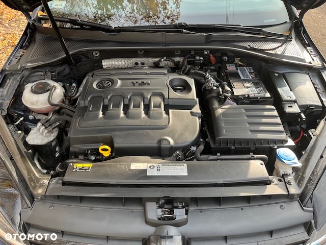 Volkswagen Golf - 13