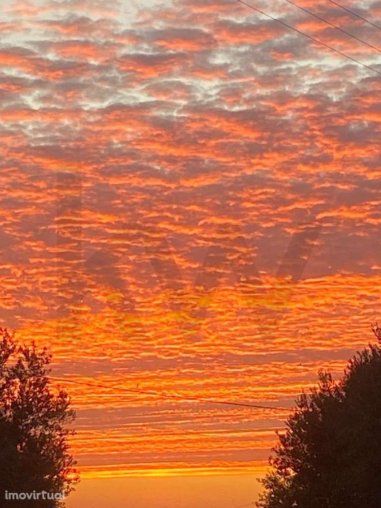 Moradia T3 CASTRO VERDE + Terreno - Grande imagem: 3/60