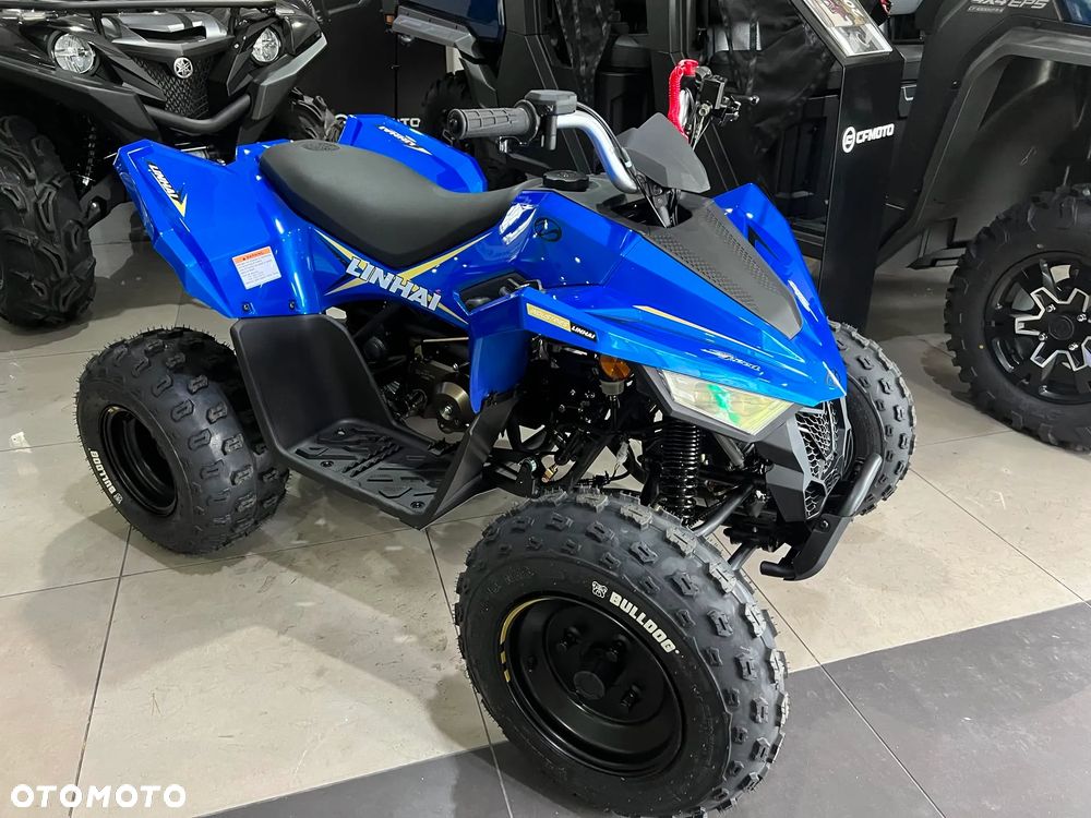 Linhai ATV - 11