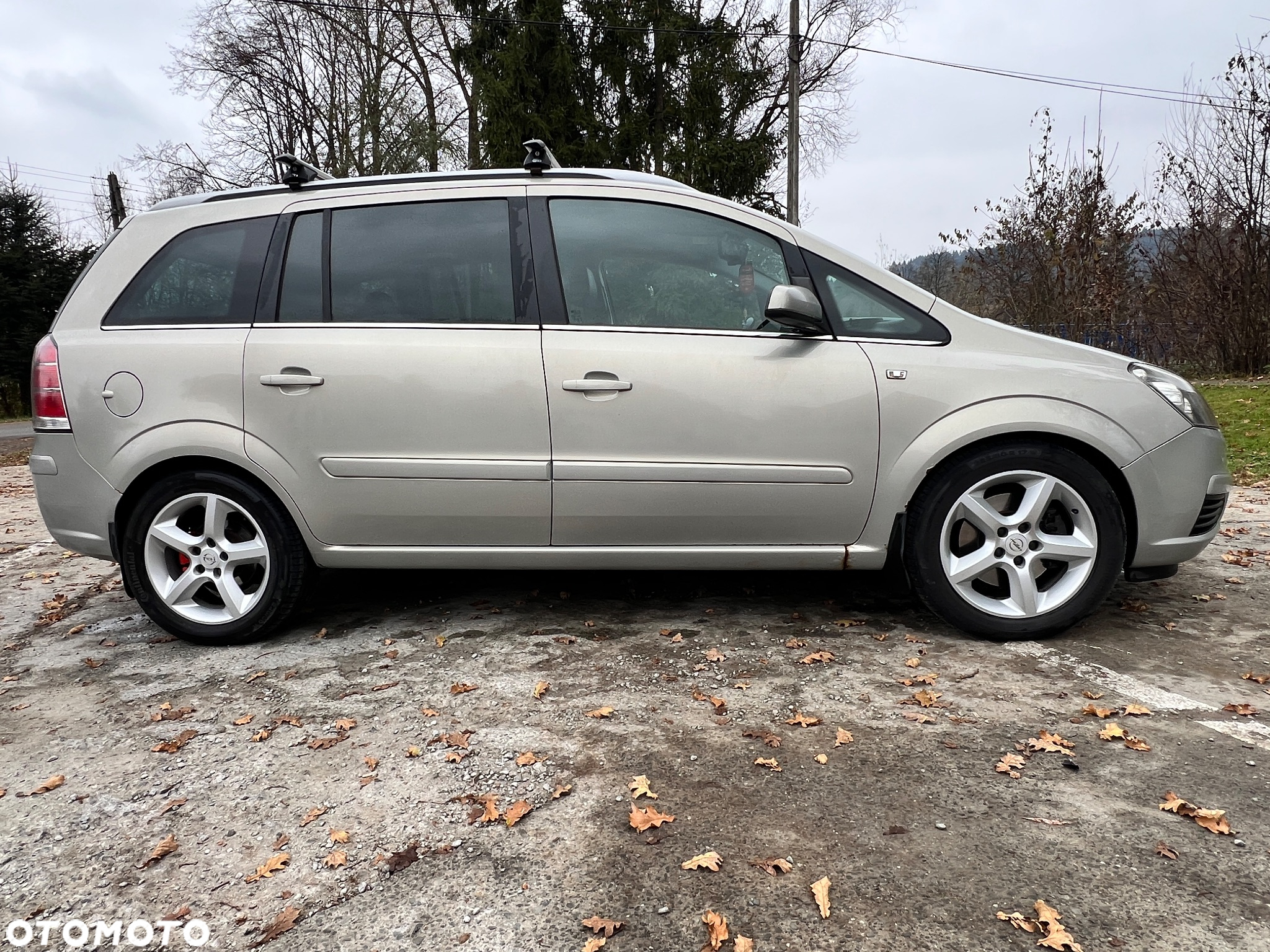 Opel Zafira 1.9 CDTI Cosmo - 6