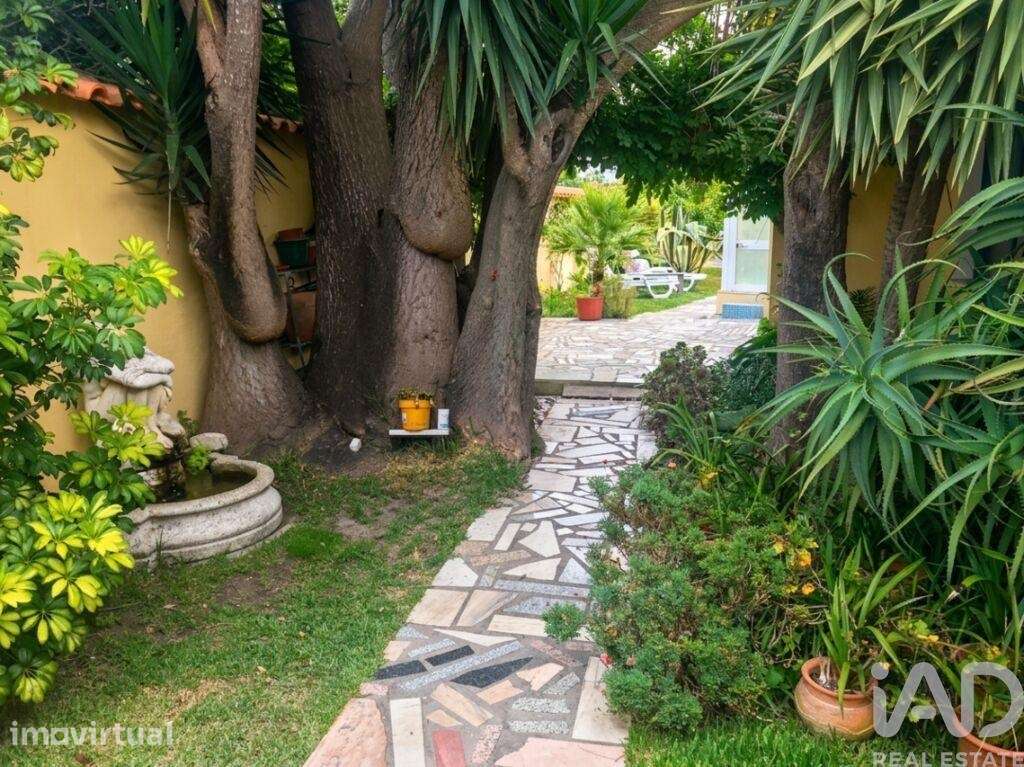 Casa / Villa T3 em Mira - Grande imagem: 2/40