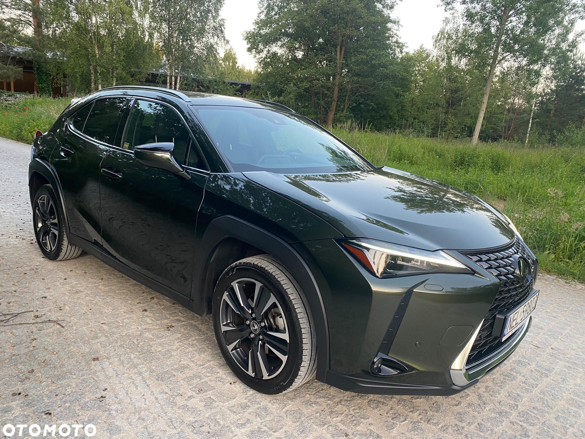 Lexus UX 250h GPF Business Edition 2WD - 4