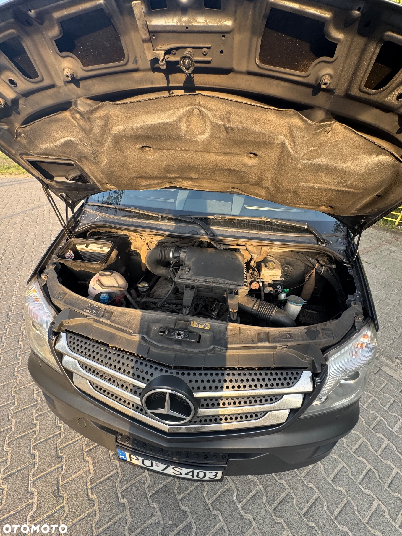 Mercedes-Benz Sprinter - 8