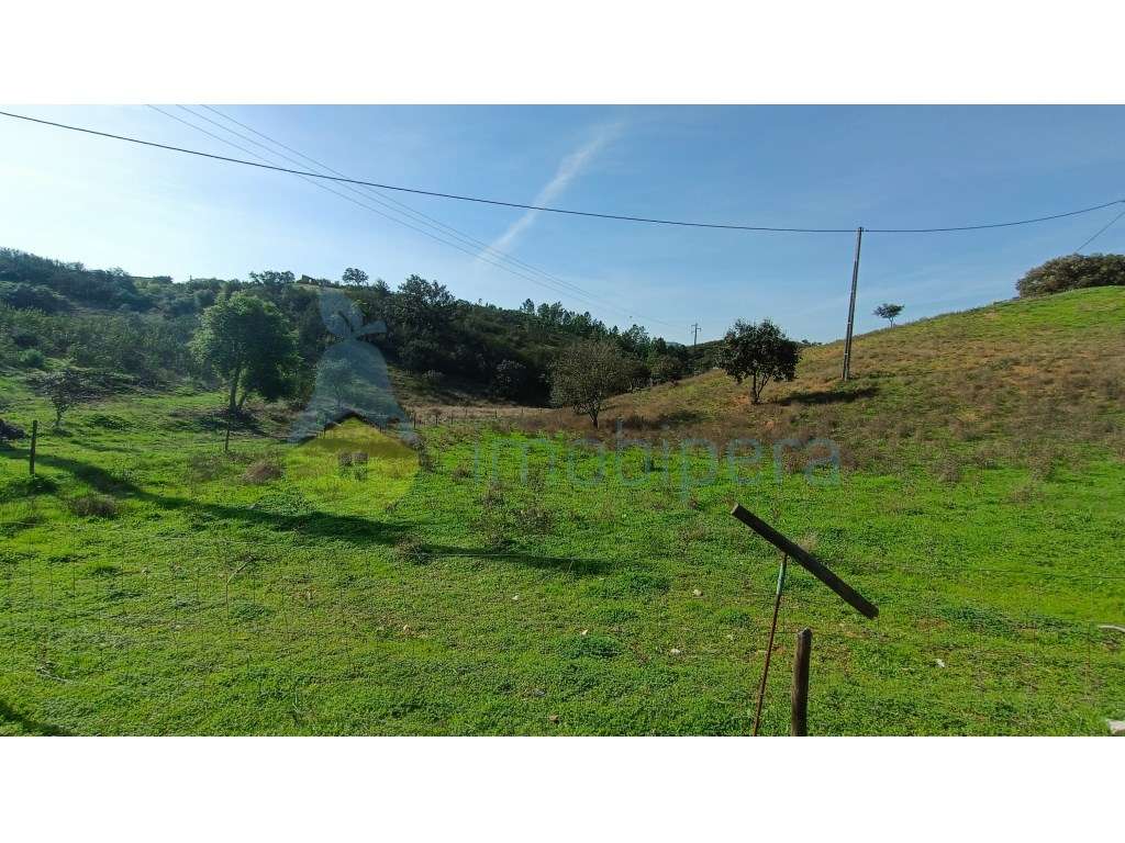 Casa para reconstrução com terreno de 35750m2 - Grande imagem: 3/13