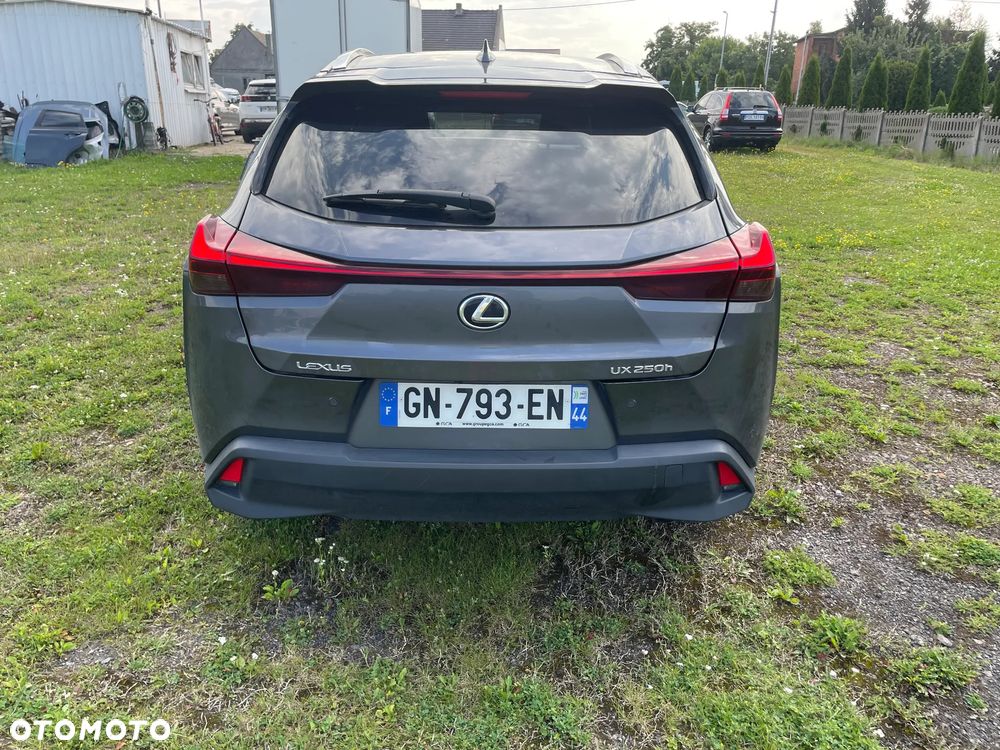 Lexus UX 250h (E-FOUR) Executive Line - 9
